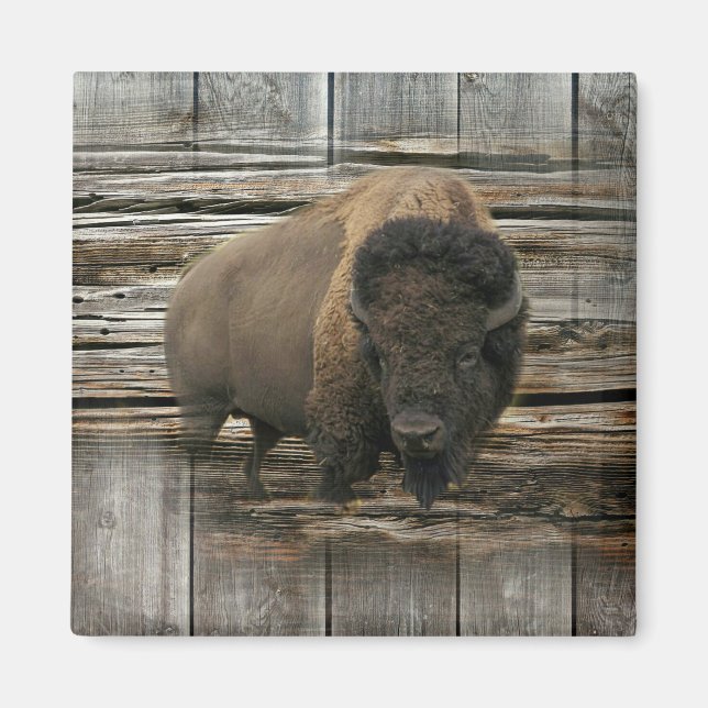 Íman Wood Bison (Frente)