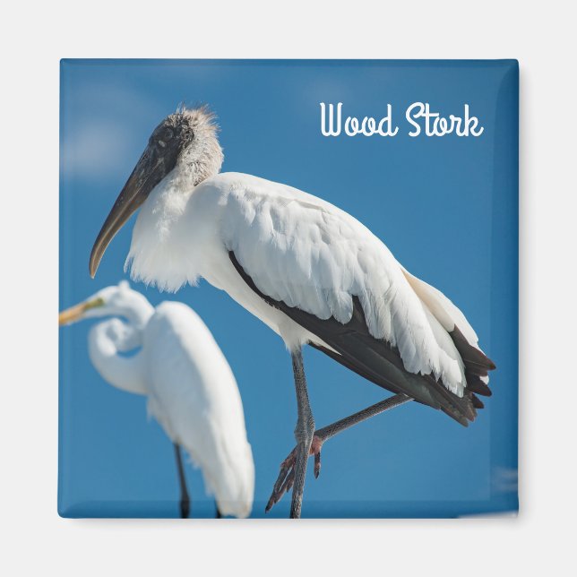 Íman Wood Stork (Frente)