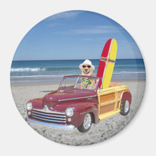 Íman Woodie Amarelo Condutor de Laboratórios