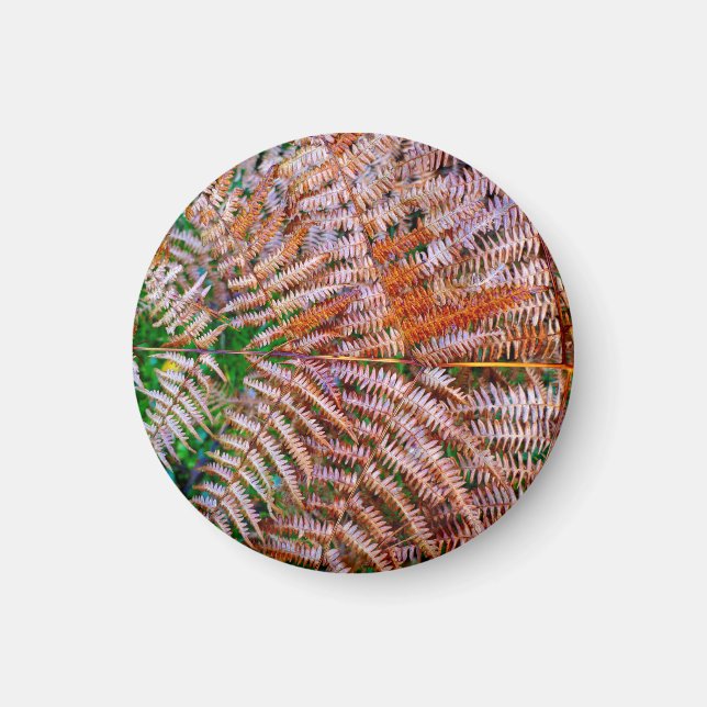 Íman Woodland Ferns (Frente)