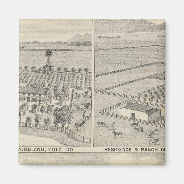 Íman Woodland Lumber (Frente)