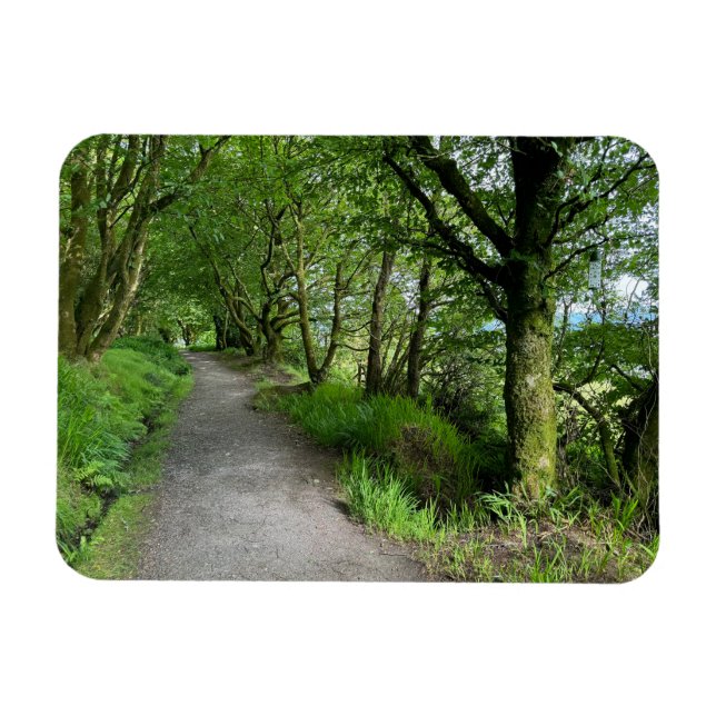 Íman Woodland Pegpath em Isle of Bute Scotland em um (Horizontal)