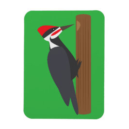 Íman Woodpecker