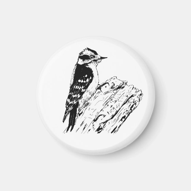 Íman Woodpecker  (Frente)