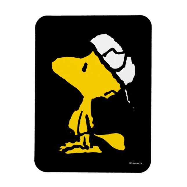 Íman Woodstock Varsity Sports - Letra Patterna (Vertical)