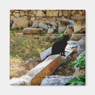 Íman World2Celebrate: Dia de Apreciação de Gato Negro