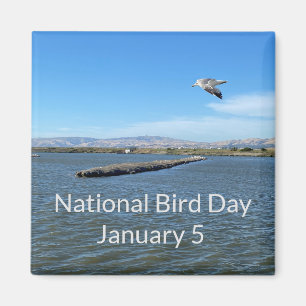 Íman World2Celebrate: Dia Nacional das Aves