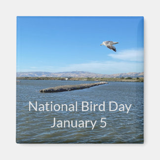 Íman World2Celebrate: Dia Nacional das Aves