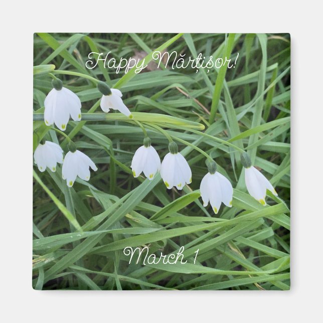 Íman World2Celebrate: Happy Mărțișor! (Frente)