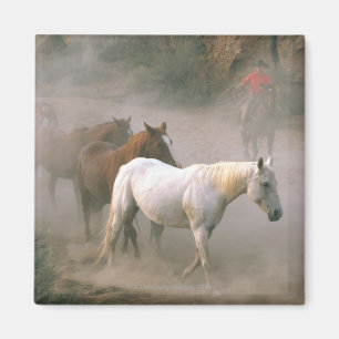 Íman Wrangler com cavalos