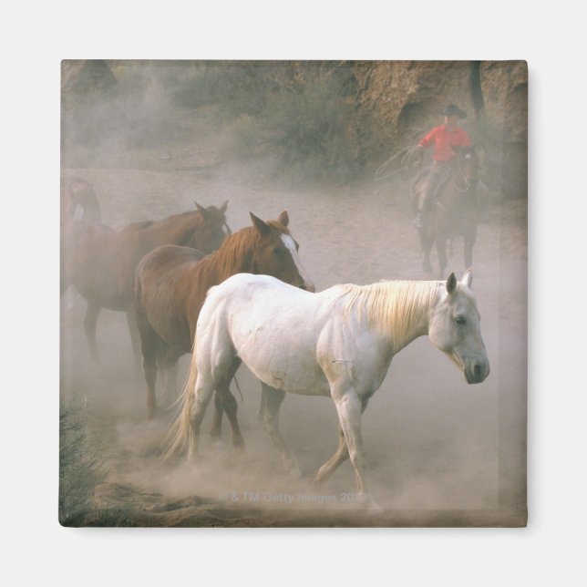 Íman Wrangler com cavalos (Frente)