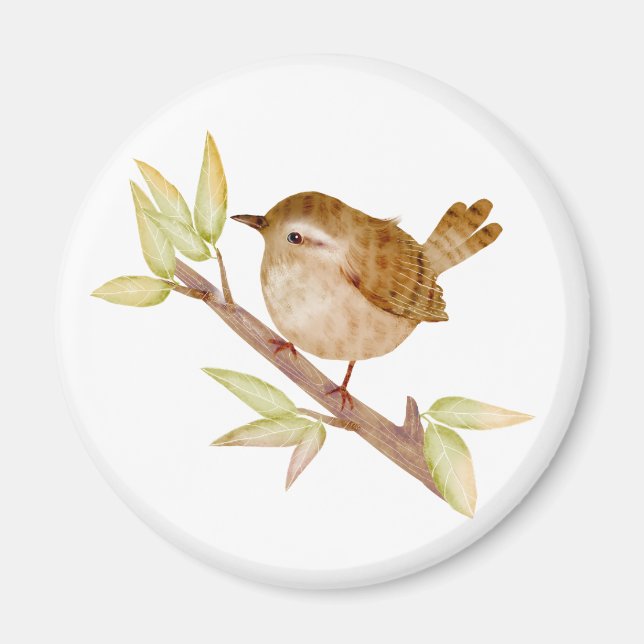 Íman Wren Bird Magnets (Frente)
