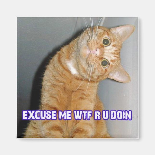 Íman wtf do gato (Frente)