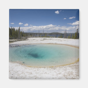 Íman WY, Parque Nacional de Yellowstone, Geyser de West