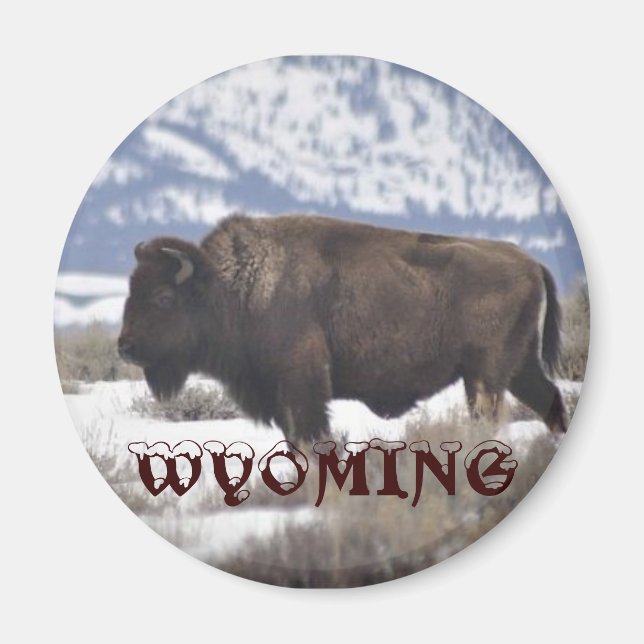 Íman Wyoming (Frente)