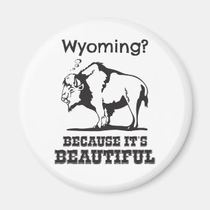 Íman Wyoming? Porque é lindo