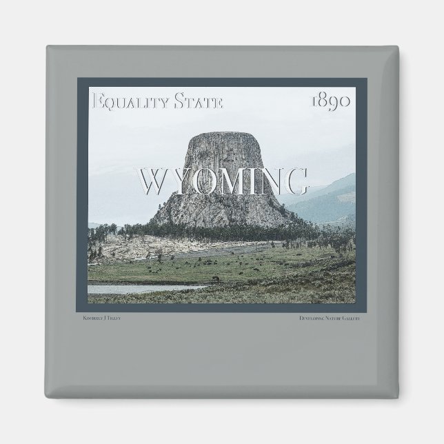 Íman Wyoming Poster (Frente)