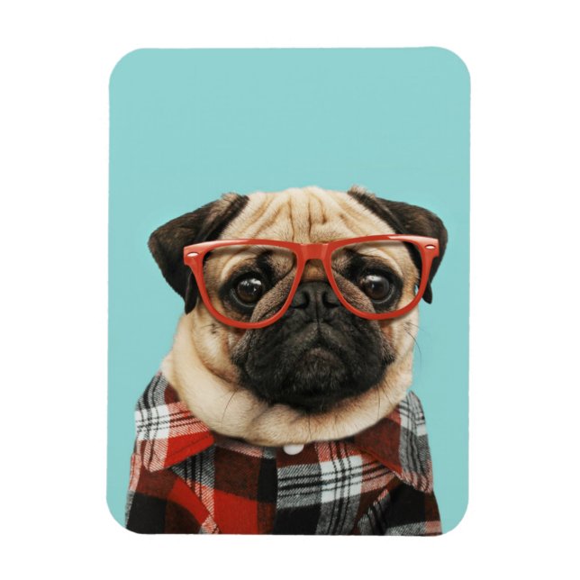 Íman Xadrez Shirt Pug (Vertical)