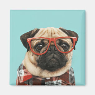 Íman Xadrez Shirt Pug