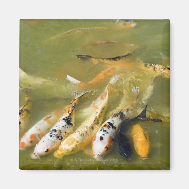 Íman Xangai, China (Frente)