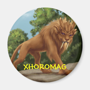 Íman Xhoromag 9