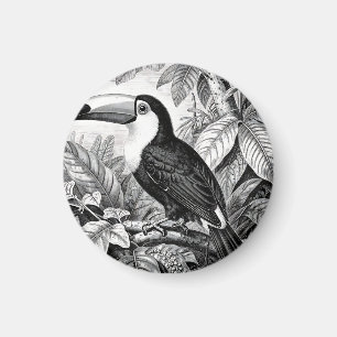 Íman Xilogravura de Folhagem da Selva de Tucanos