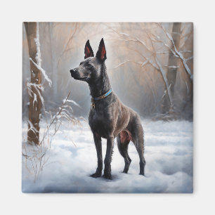 Íman Xoloitzcuintli Deixe Nevar Natal