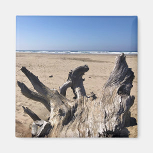 Íman Yaquina Bay State Recreation Site, Newport, Oregon