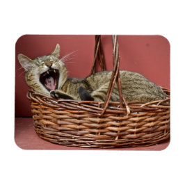 Íman Yawning Cat Magnet