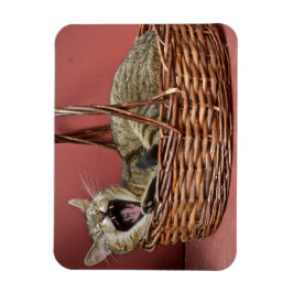 Íman Yawning Cat Magnet