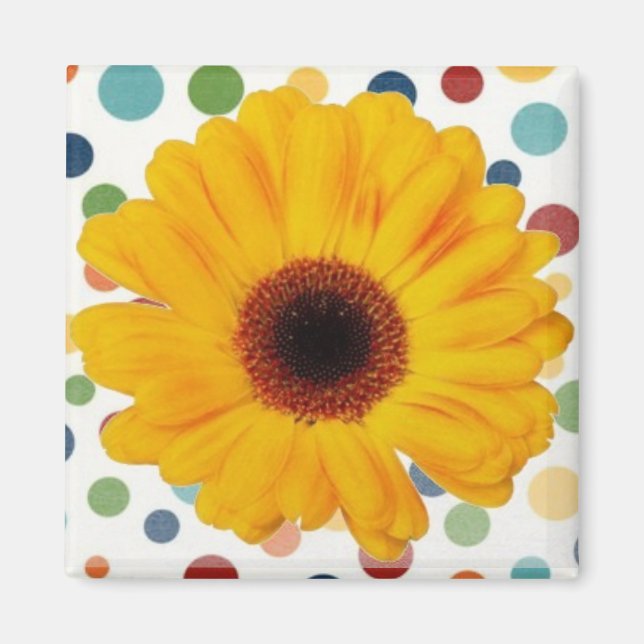 Íman Yellow Gerber Daisy (Frente)