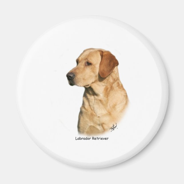 Íman Yellow Labrador Retriever (Frente)
