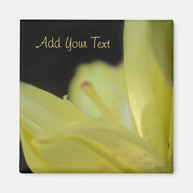 Íman Yellow Lily por Shirley Taylor (Frente)