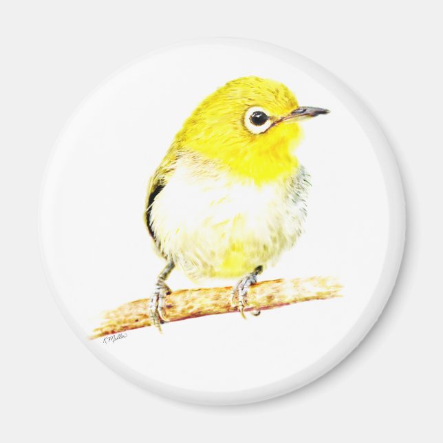 Íman Yellow Viero (Frente)