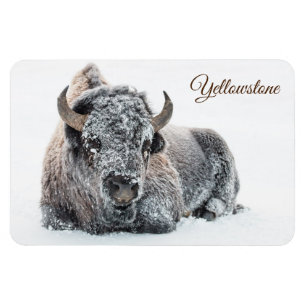 Íman Yellowstone Magnet-Buffalo