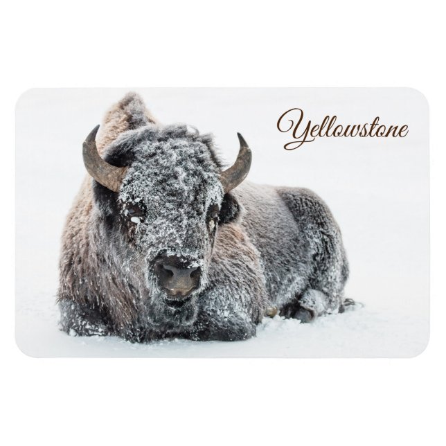Íman Yellowstone Magnet-Buffalo (Horizontal)