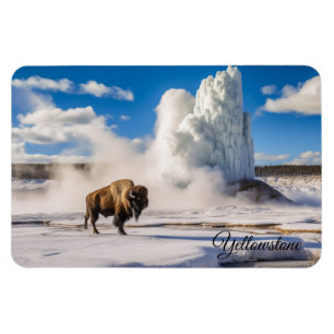 Íman Yellowstone Magnet-Buffalo Geyser
