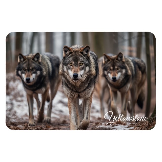 Íman Yellowstone Magnet-Wolves (Horizontal)