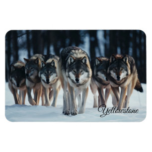 Íman Yellowstone Magnet-Wolves