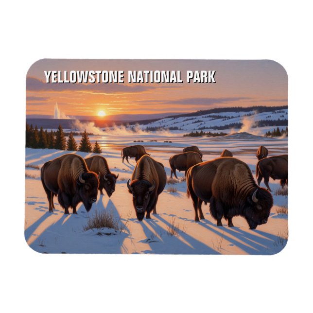Íman Yellowstone National Park Bison (Horizontal)