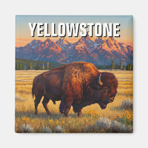 Íman Yellowstone National Park Bison