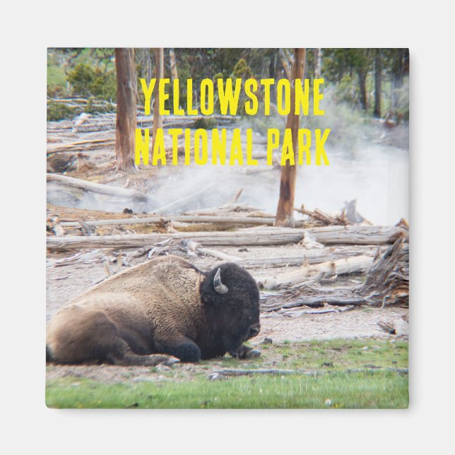 Íman Yellowstone National Park Bison Magnet (Frente)