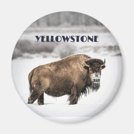 Íman Yellowstone Snowy Buffalo Souvenir Magnet