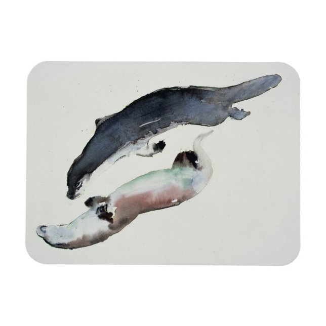 Íman Yin Yang (Horizontal)