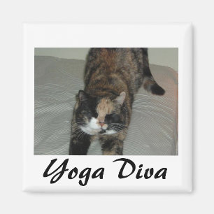 Íman Yoga Cat