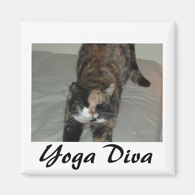 Íman Yoga Cat (Frente)