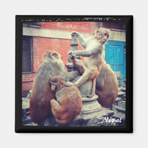 Íman Yoga master, Swayambhunath, Katmandu - Nepal