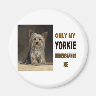 ÍMAN YORKIE