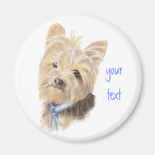 Íman Yorkie bonito, yorkshire terrier, cão, animal de
