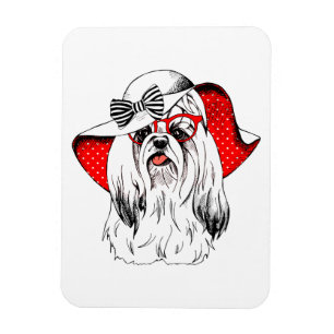 Íman Yorkie Fashion Shoot